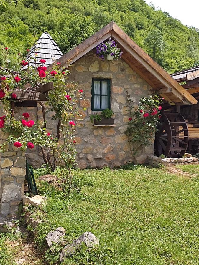 Rafting Camp Tara Center Tri Vodenice Bastasi Zewnętrze zdjęcie