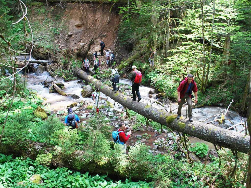 Rafting Camp Tara Center Tri Vodenice Bastasi Zewnętrze zdjęcie